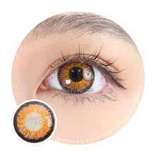 Load image into Gallery viewer, Sweety Snow Brown (1 lens/pack)-Colored Contacts-UNIQSO
