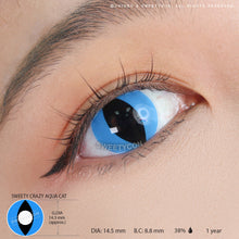 Load image into Gallery viewer, Sweety Crazy Aqua Cat (1 lens/pack)-Crazy Contacts-UNIQSO
