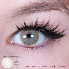 Load image into Gallery viewer, Sweety Hidrocor Avela (1 lens/pack)-Colored Contacts-UNIQSO
