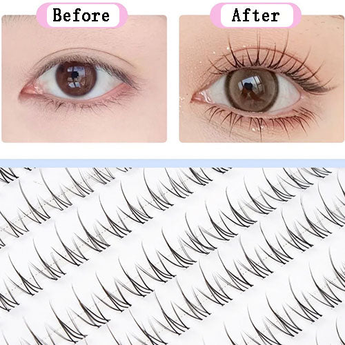 Foxy Sunny Cluster Natural Eyelashes-Fake Eyelash-SweetyCon
