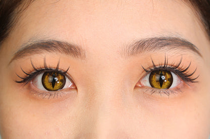 Sweety Crazy Gold Demon Eye / Cat Eye (New) (1 lens/pack)-Crazy Contacts-UNIQSO