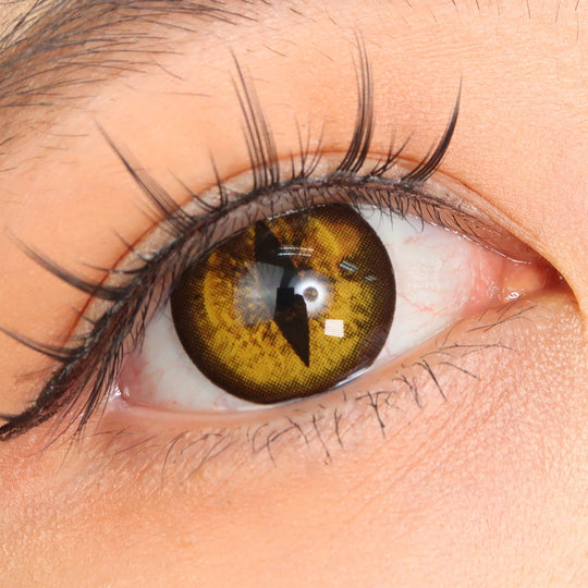 Sweety Crazy Gold Demon Eye / Cat Eye (New) (1 lens/pack)