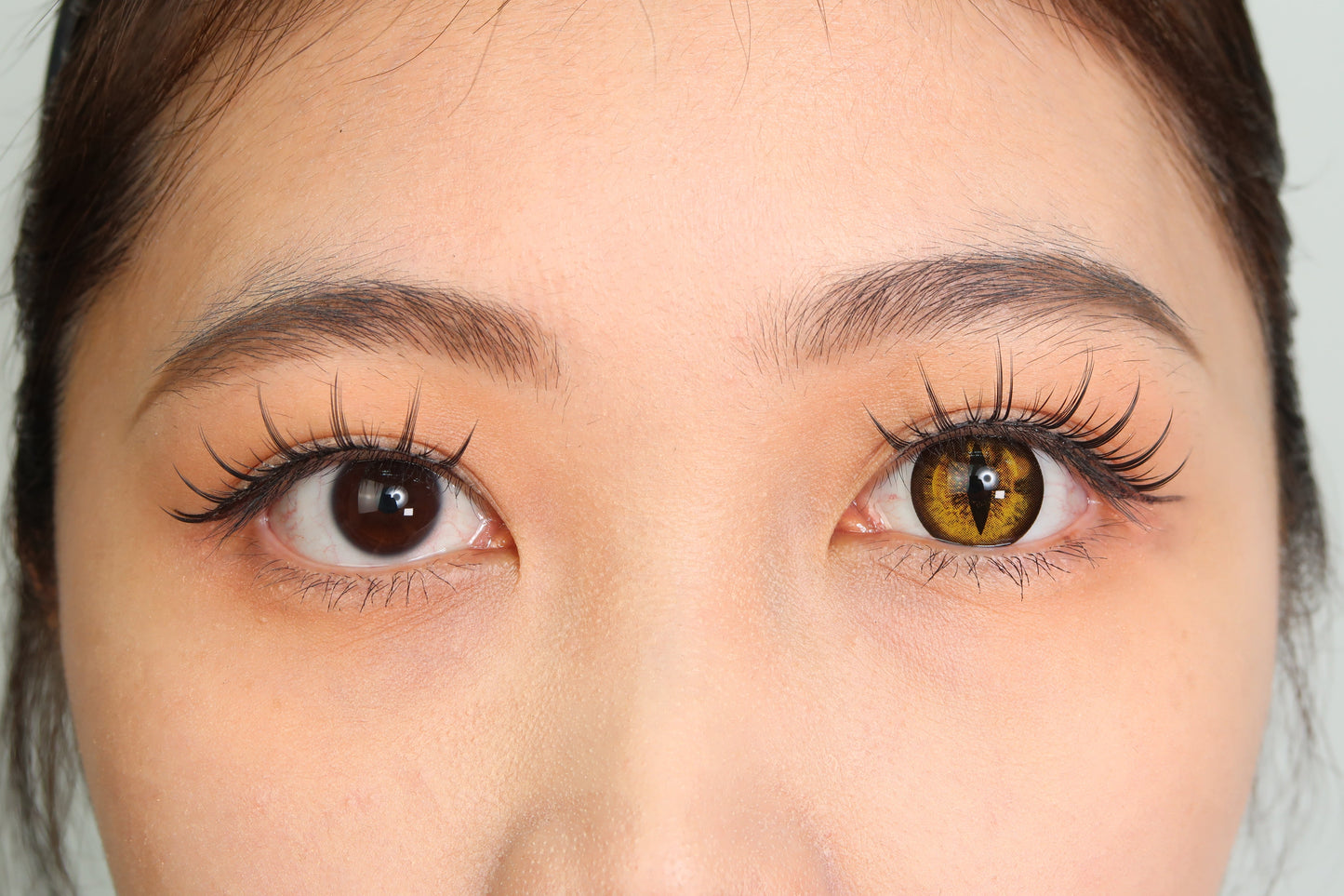 Sweety Crazy Gold Demon Eye / Cat Eye (New) (1 lens/pack)-Crazy Contacts-UNIQSO