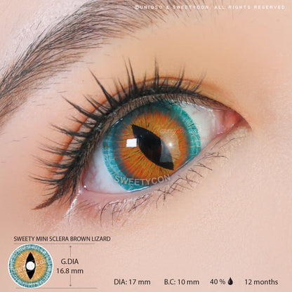Sweety Mini Sclera Brown Lizard (1 lens/pack)-Mini Sclera Contacts-SweetyCon