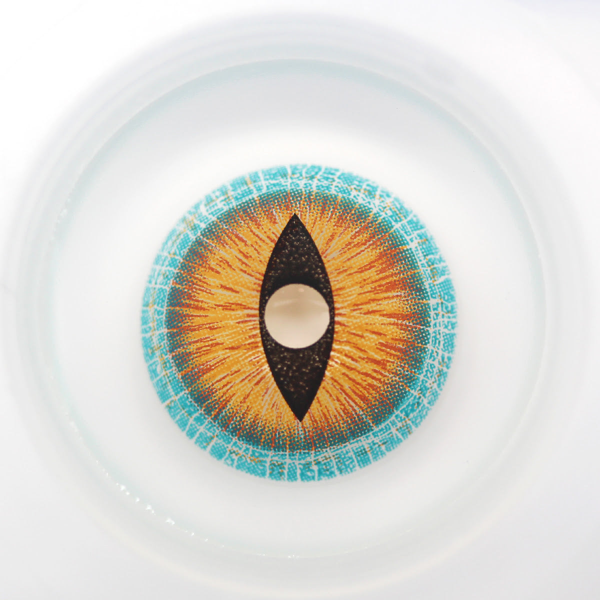 Sweety Mini Sclera Brown Lizard (1 lens/pack)-Mini Sclera Contacts-SweetyCon
