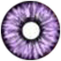 Sweety Violet Sclera Contacts - Elf Purple (1 lens/pack)-Sclera Contacts-SweetyCon
