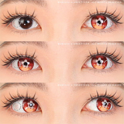 Sweety x Eyesinger Orange Clover (2 lenses/pack)-Colored Contacts-SweetyCon