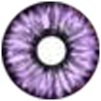 Load image into Gallery viewer, Sweety Violet Sclera Contacts - Elf Purple (1 lens/pack)-Sclera Contacts-UNIQSO
