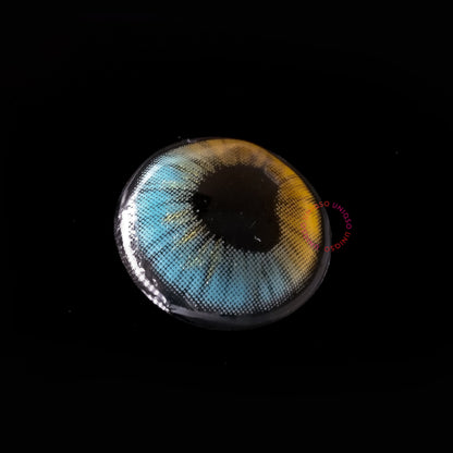 Sweety Anime Shining Heart Blue Brown (1 lens/pack)-Colored Contacts-SweetyCon