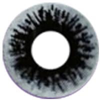 Sweety Crazy Black Parasite (1 lens/pack)-Crazy Contacts-SweetyCon