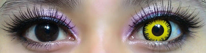 Sweety Crazy Solar Eclipse (1 lens/pack)-Crazy Contacts-UNIQSO