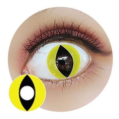 Sweety Crazy Yellow Cat (1 lens/pack)-Crazy Contacts-SweetyCon