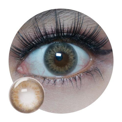 Sweety Taylor Brown (1 lens/pack)-Colored Contacts-SweetyCon