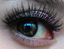Load image into Gallery viewer, Sweety Pop C Dark Brown (1 lens/pack)-Colored Contacts-UNIQSO
