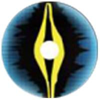 Sweety Crazy Xorn (1 lens/pack)