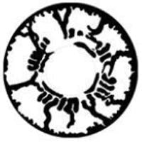 Sweety Crazy Broken Doll (1 lens/pack)