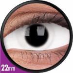 Sweety White Sclera Contacts Whiteout (1 lens/pack)
