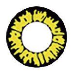 Sweety Lovelive Yellow (1 lens/pack)