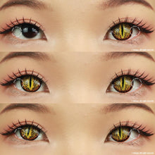 Load image into Gallery viewer, Sweety Crazy Lizard Eye Gold (1 lens/pack)-Crazy Contacts-UNIQSO
